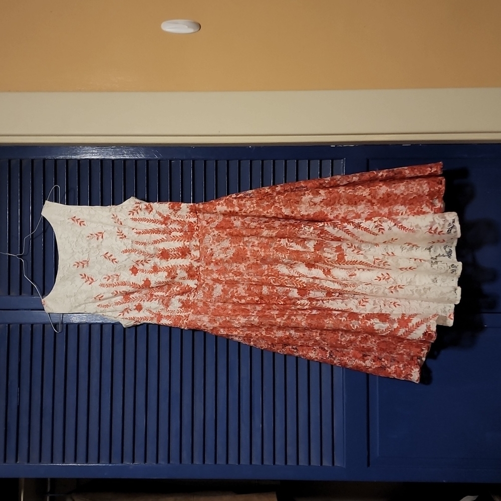 Danby and Nicole's size 10 dress